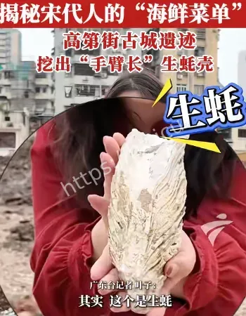 手臂长生蚝壳